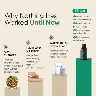 New Maximum Potency Formula | Flow+ Lymphatic Drainage by Lyvera